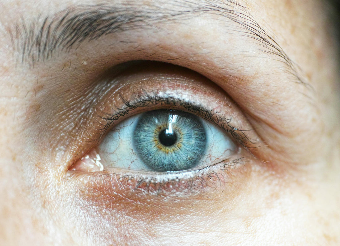 Close-up of an eye
