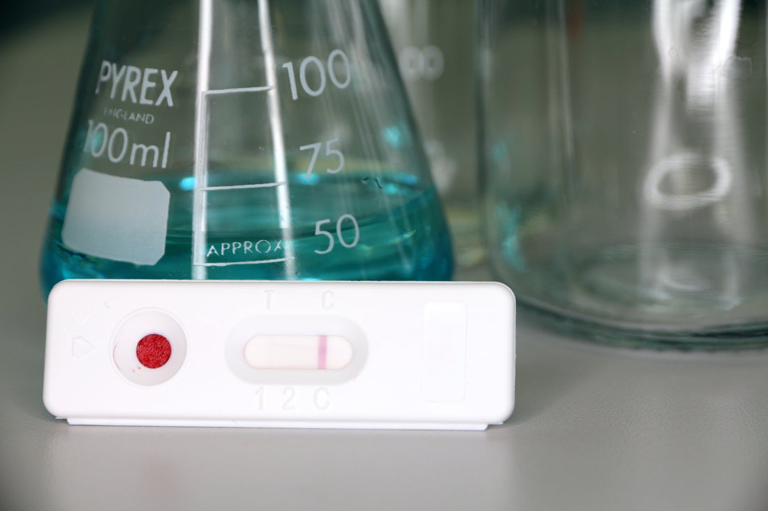 Lateral flow cassette showing negative result, against a lab conical flask with blue liquid on a lab bench.